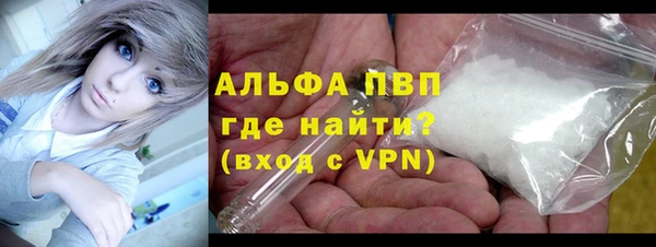 дмт Богданович