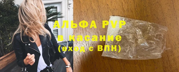дмт Богданович