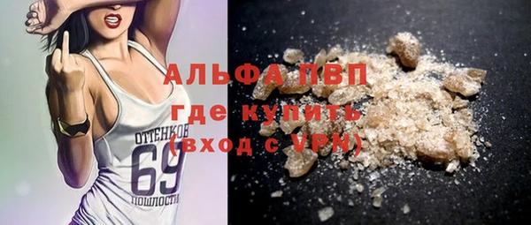 дмт Богданович