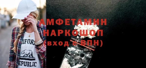 дмт Богданович