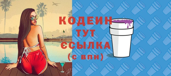 дмт Богданович